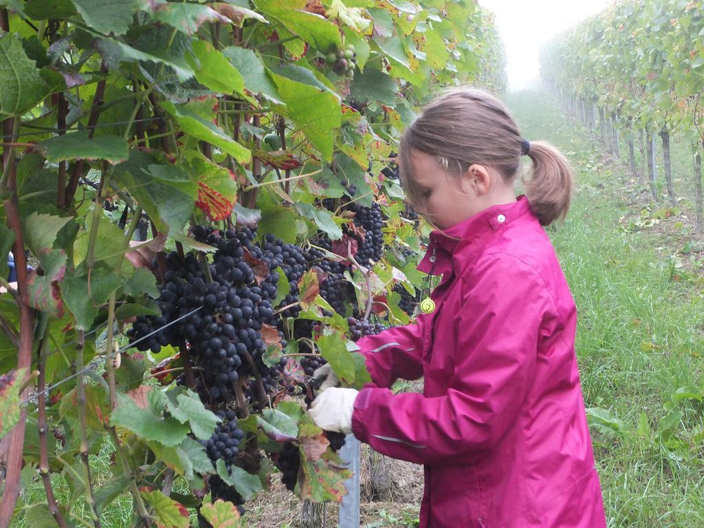 Weingut Claes Schmitt Erben