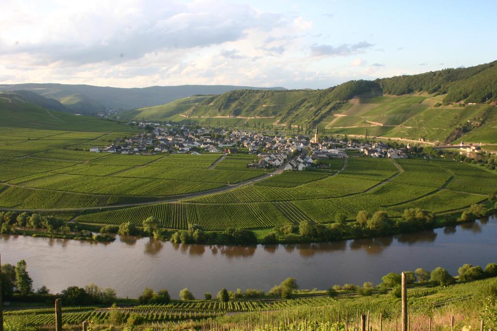 Weingut Claes Schmitt Erben